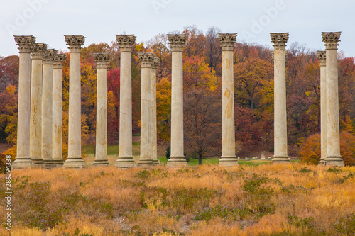autumn view of original us capitol columns at the US Arboretum in Washington DC