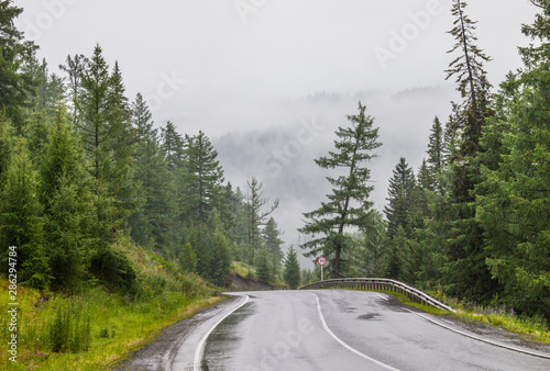 Mountain road in rainy weather, wet asphalt