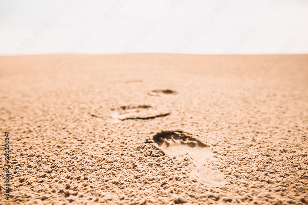 Close up off footprints in the sand in the danish desert Close up off footprints in the sand in the danish desert