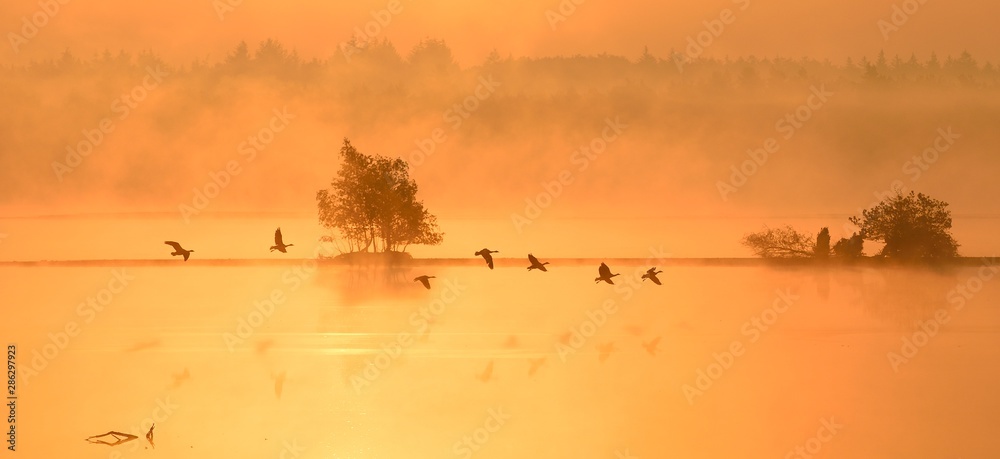 Obraz premium Sonnenaufgang im Moor