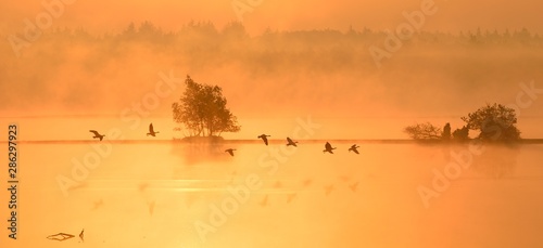 Sonnenaufgang im Moor