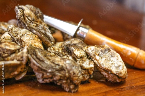 Photos Selective Focus Closeup of Fresh Rappahannock River Oysters on a Wooden Board, w