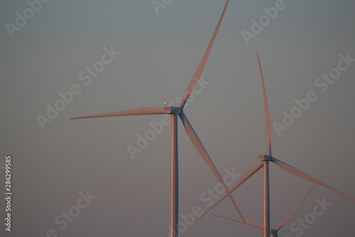 Wind turbines by the sea at sunrise