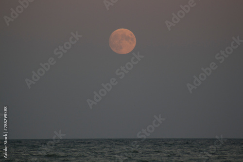 the red full moon over the sea