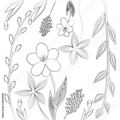 Flower arrangement with plants, leaves, flowers and branches. Spring flowers. Summer plants. Buds and leaves in the warm season. © Ольга Мороз