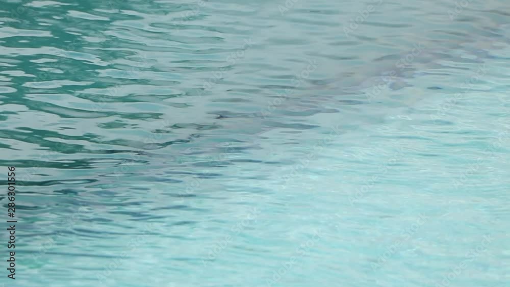 The water in the pool The water in the pool