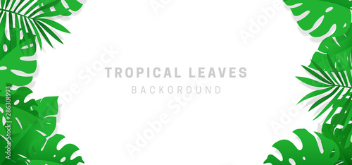 Clean Tropical leaves origami paper cut style background banner template design. Monstera palm leave corner frame decoration vector illustration on white color backdrop. hawaiian jungle summer time.