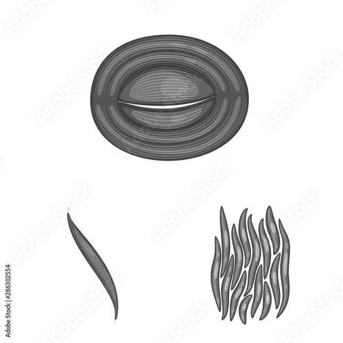 Isolated object of human and body sign. Collection of human and cells vector icon for stock.