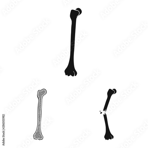 Isolated object of biology and medical sign. Collection of biology and skeleton vector icon for stock.