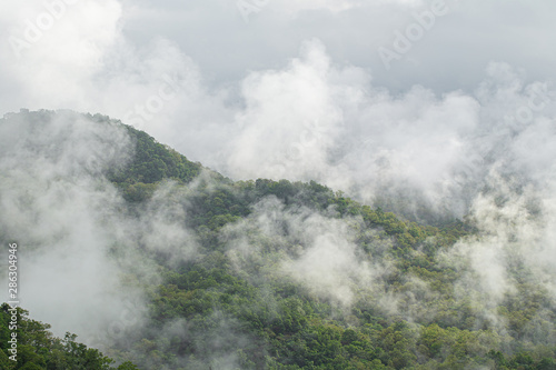 Green mountain scenery and fog in the mountains