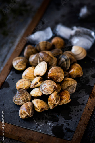 fresh raw clams on a slate tray.