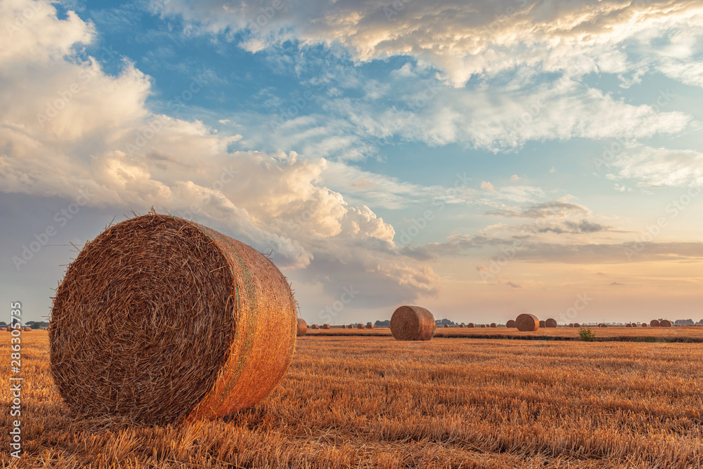 The bales of hay