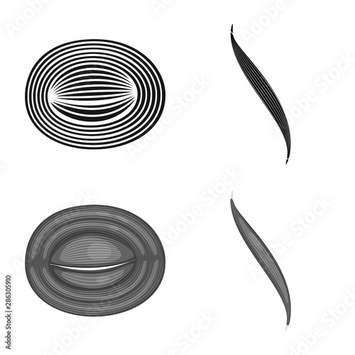 Vector design of fiber and muscular symbol. Set of fiber and body stock symbol for web.