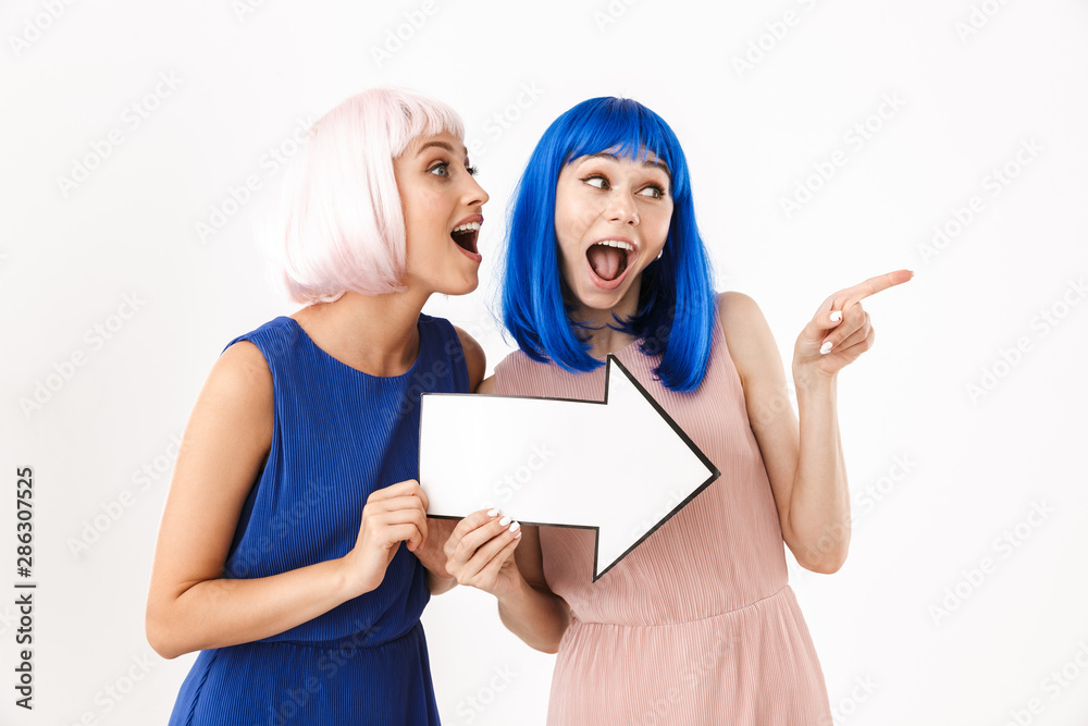 Portrait of two excited nice women wearing blue and pink wigs holding blank copyspace arrow pointer together Portrait of two excited nice women wearing blue and pink wigs holding blank copyspace arrow pointer together