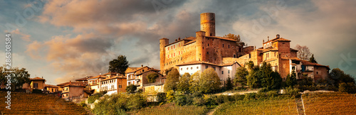 Castiglione Faletto, village in Barolo wine region, Langhe, Piedmont, Italy photo