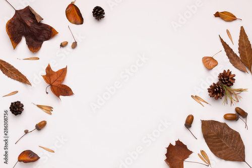 Bronze and brown leaves creating frame for text on white