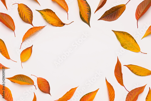 Creative Round frame of colored fallen leaves on white