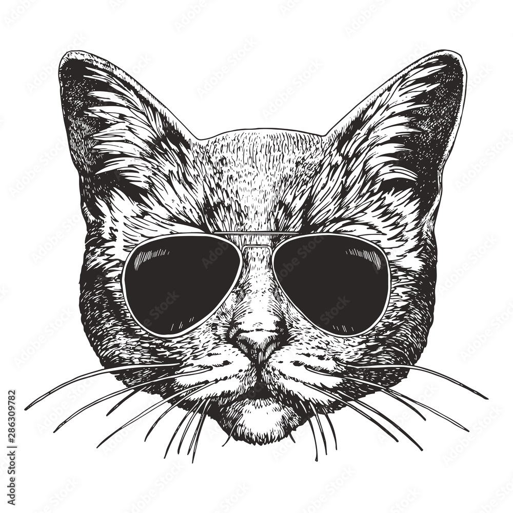 Portrait of Cat with sunglasses. Hand-drawn illustration. Vector Stock ...