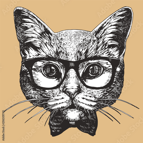Portrait of British Shorthair Cat with glasses and bow tie. Hand-drawn illustration. Vector