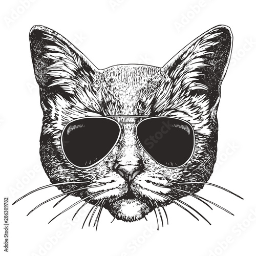 Portrait of Cat with sunglasses. Hand-drawn illustration. Vector