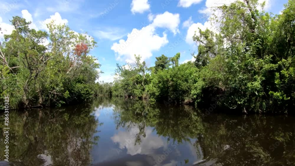 Left side truck moving riding on air boat, sky reflection in water, Everglades, Florida Left side truck moving riding on air boat, sky reflection in water, Everglades, Florida