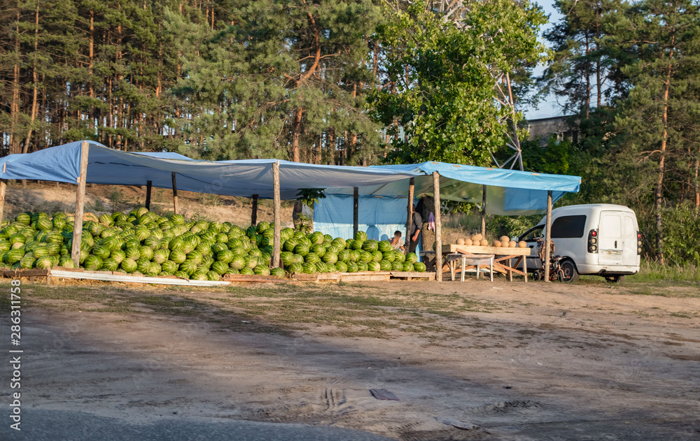 watermelons and melons in a spontaneous market watermelons and melons in a spontaneous market