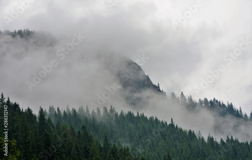 fog over the mountains © sebi_2569