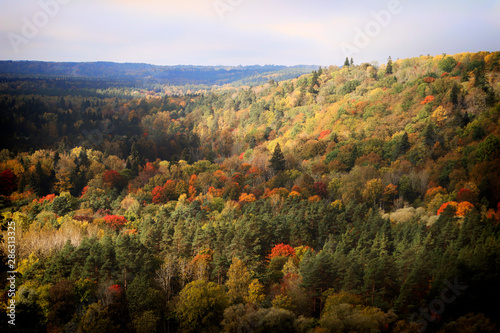 Autumn at Gauja Nationalpark near Sigulda in Latvia, Baltic States, Europe