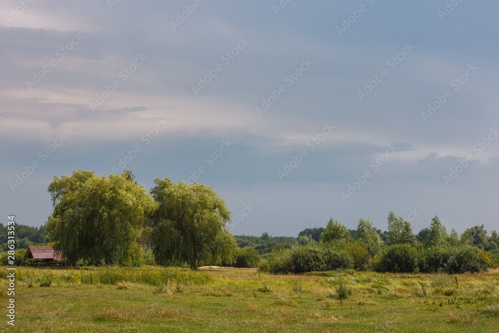 View of meadow with field, forest on horizon and beautiful sky with clouds. Summer landscape.