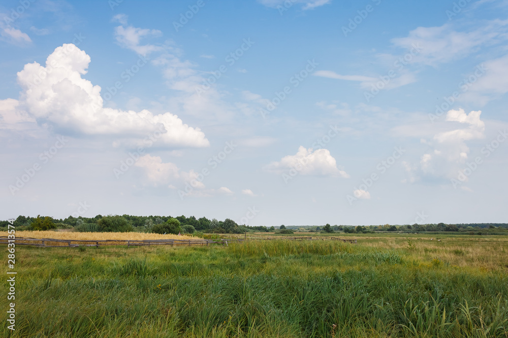 View of meadow with field, forest on horizon and beautiful sky with clouds. Summer landscape. View of meadow with field, forest on horizon and beautiful sky with clouds. Summer landscape.