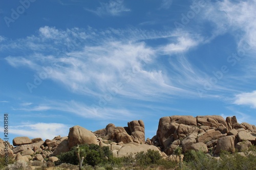 In Joshua Tree National Park, unspoiled native plant communities, intricate edifices of rock, and frittering skies symbolize ancient serene magic of the Southern Mojave Desert.