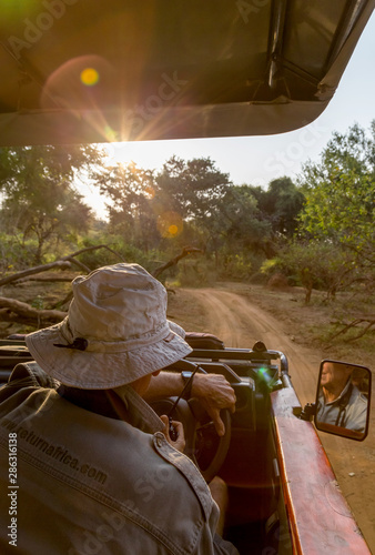 Game ranger driving safari vehicle