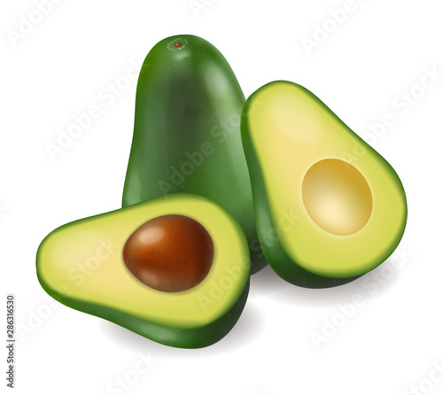 Avocado vector realistic isolated on white 3d illustrations
