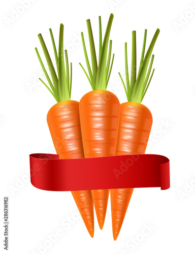 Carrots Vector realistic isolated on white 3d illustrations
