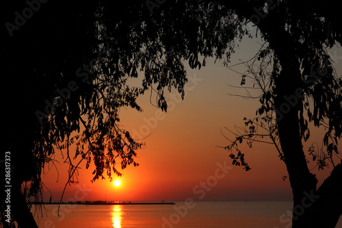 Summer sunset through branches of tree in Greece. View of Peraia, suburb of Thessaloniki. Golden sky and sea. 