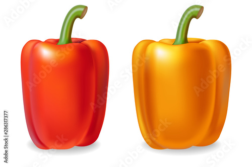 Pepper Vector realistic isolated on white 3d illustrations