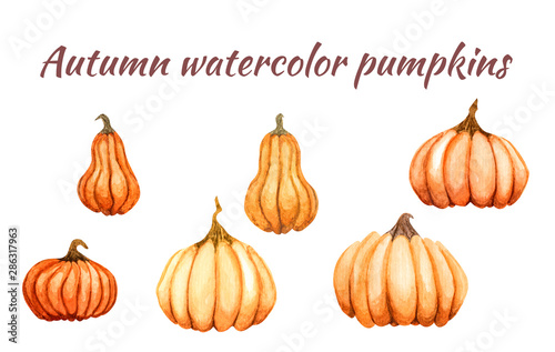 watercolor isolated set with pumpkin, autumn harvest. Digital image for design decoration, scrapbooking, decoupage. Halloween