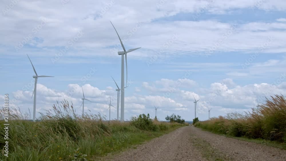 wind turbines in field wind turbines in field