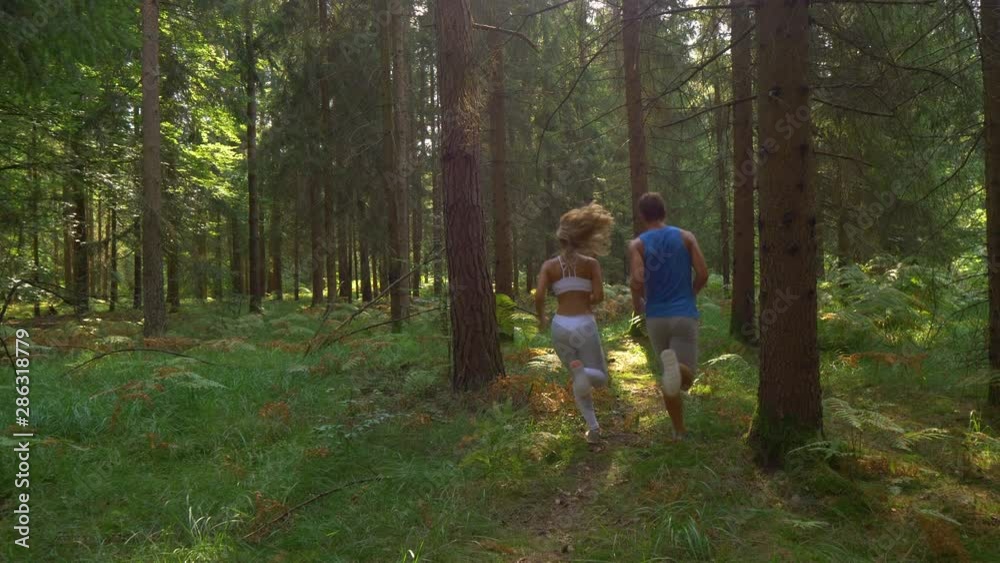 SLOW MOTION: Unrecognizable active man and his girlfriend jogging through the calm sunlit forest. Bright summer sun rays peer through the dense foliage as the fit couple goes for a run in the woods. SLOW MOTION: Unrecognizable active man and his girlfriend jogging through the calm sunlit forest. Bright summer sun rays peer through the dense foliage as the fit couple goes for a run in the woods.