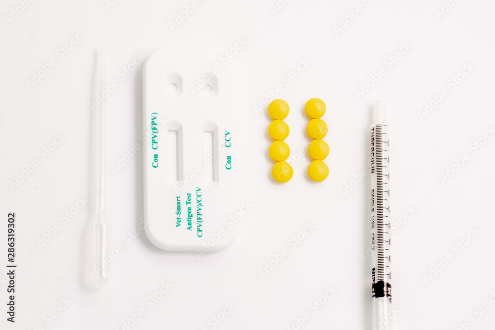 Close up Veterinary Antigen Blood test kit (Con CPV(FPV) CCV), medical products, vaccine and syringe for animal on white background. Animal health screening with test kit concept. Close up Veterinary Antigen Blood test kit (Con CPV(FPV) CCV), medical products, vaccine and syringe for animal on white background. Animal health screening with test kit concept.