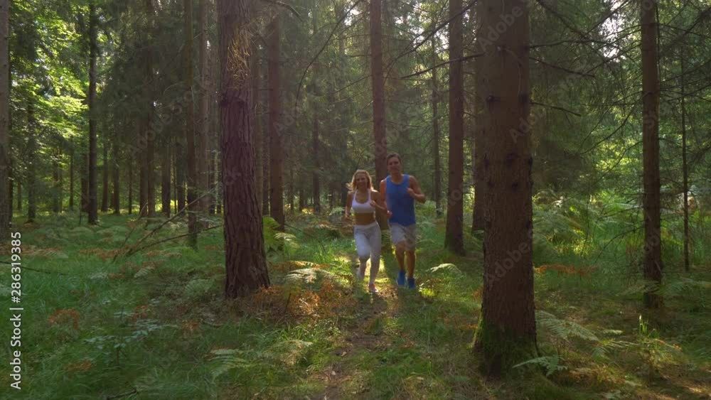 SLOW MOTION: Happy training partners go for a run through the sunny forest as they prepare for an off road marathon. Athletic young couple working out together by going for a jog in the wilderness. SLOW MOTION: Happy training partners go for a run through the sunny forest as they prepare for an off road marathon. Athletic young couple working out together by going for a jog in the wilderness.