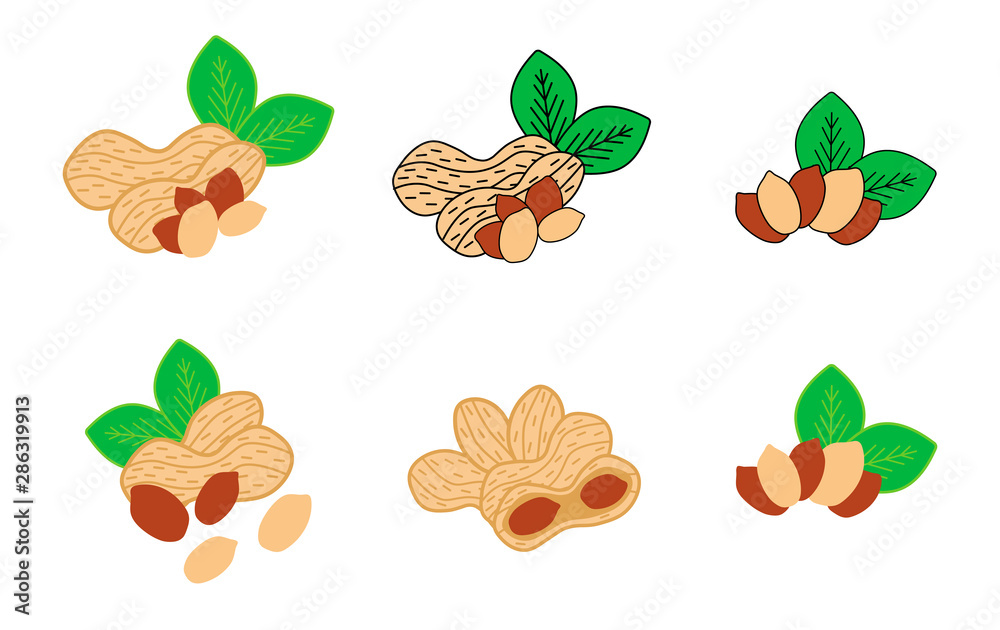 Peanuts collection. Set of six different compositions with nutshells and leaves. Clean colored vector illustrations. Usable for packaging, web banners, posters, cards Peanuts collection. Set of six different compositions with nutshells and leaves. Clean colored vector illustrations. Usable for packaging, web banners, posters, cards
