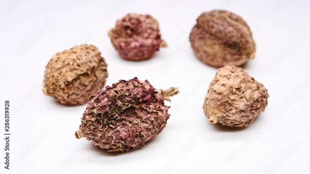side view herb medicine ShaRen or Amomi Fructus or Villous Amomum Fruit rotate and pause side view herb medicine ShaRen or Amomi Fructus or Villous Amomum Fruit rotate and pause