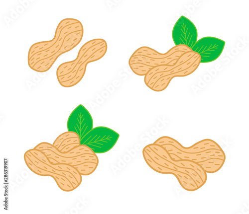 Peanuts isolated set. 4 nutshell compositions with green leaves usable for packaging, banners, posters, cards. Vector illustration