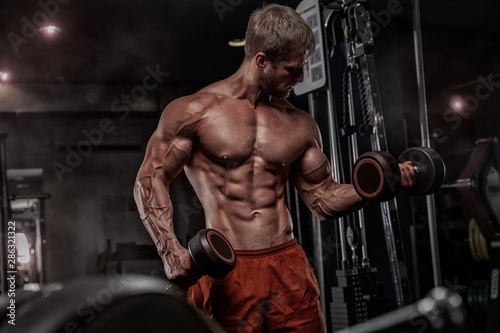 Brutal handsome Caucasian bodybuilder working out training in the gym gaining weight pumping up muscles and poses fitness and bodybuilding concept © romanolebedev