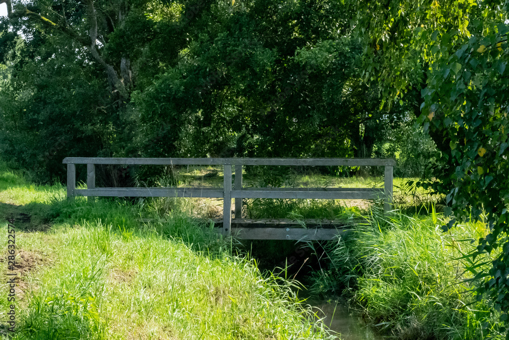 Brücke an einem Bach im Naturschutzgebiet Brücke an einem Bach im Naturschutzgebiet
