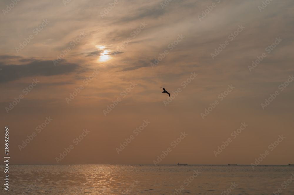 Fototapeta premium A beautiful sunset on the sea in the summer with a tender pink and orange and lilac color