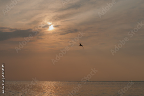A beautiful sunset on the sea in the summer with a tender pink and orange and lilac color