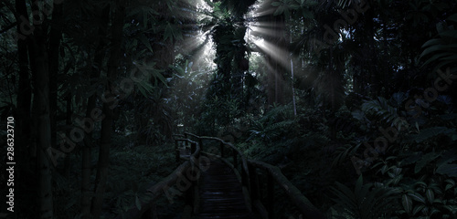 Fototapeta Naklejka Na Ścianę i Meble -  Deep tropical jungle in darkness