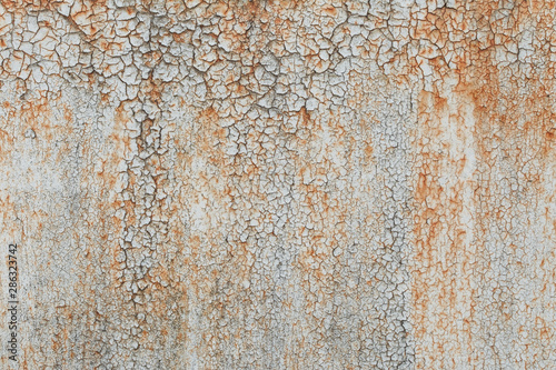 Old metal rusted wall covered with cracked and partly peeled white paint. Grunge background and texture. Close-up
